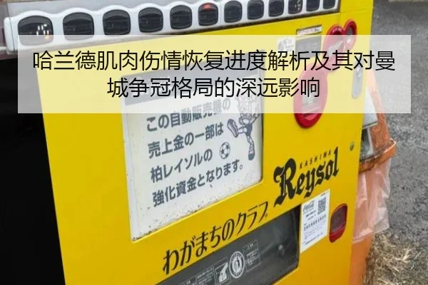 img_1782138585688_495_0_237.jpg